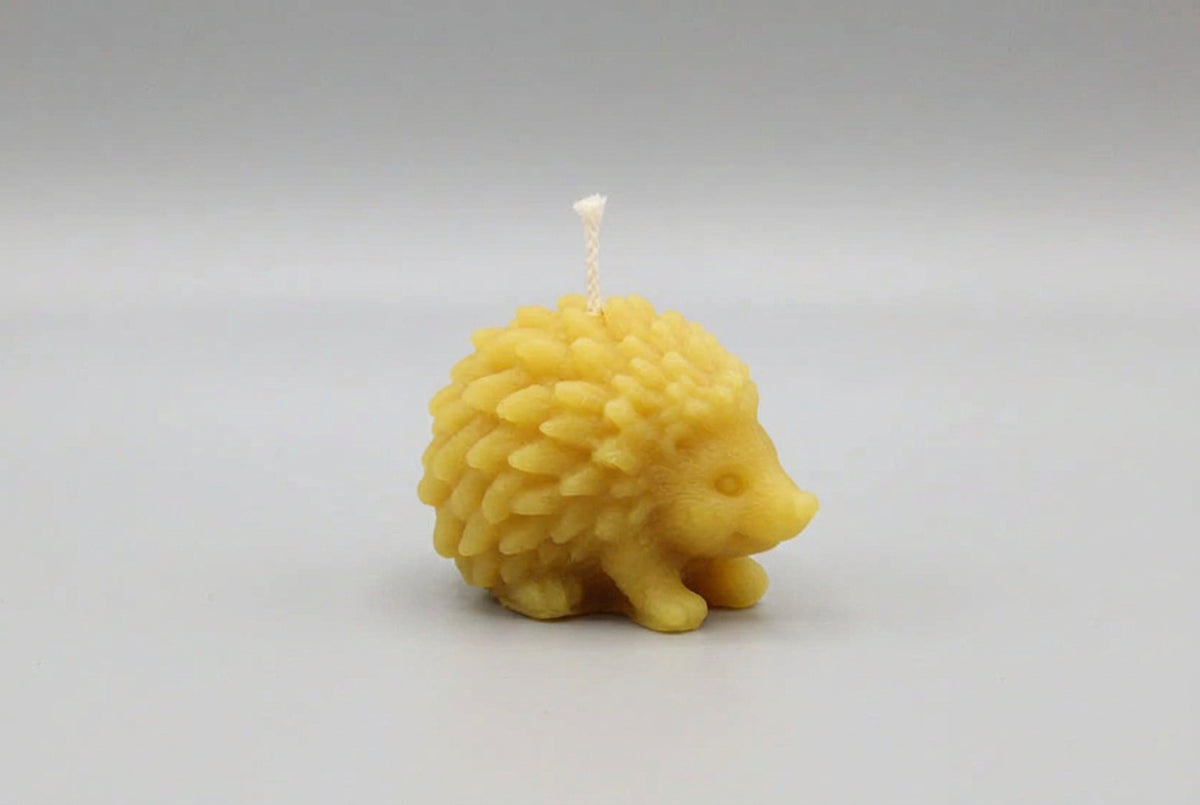 Hedgehog Small