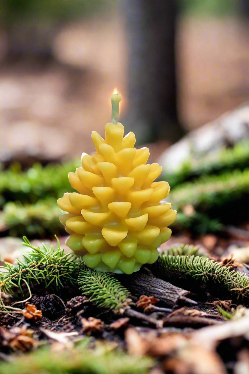 Pinecone Small