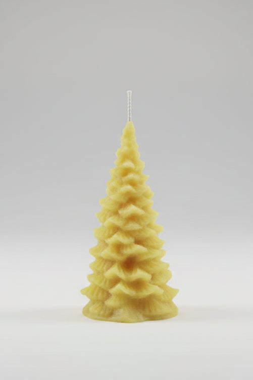 Tree (3 Designs)