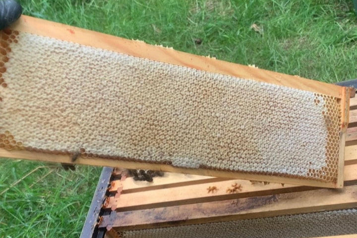 Artisan Honey