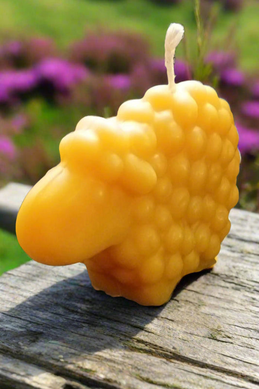 Sheep Candle