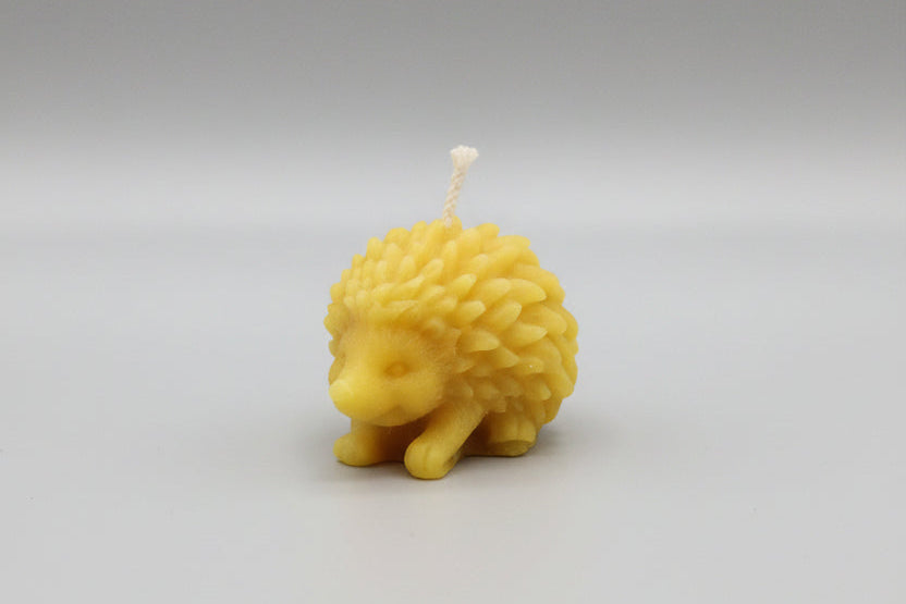 Hedgehog (2 Sizes)