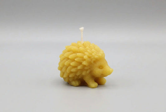 Hedgehog Small