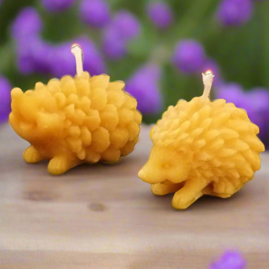 Hedgehog Candles