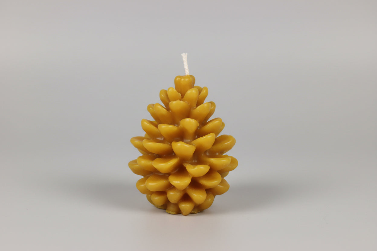 Pinecone (2 Sizes)