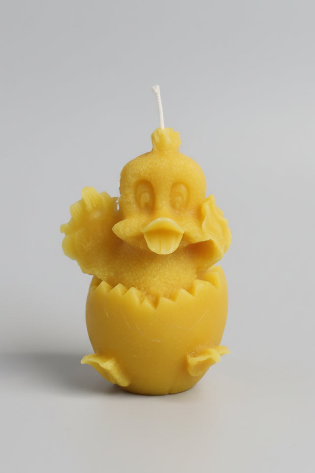 Duck in Egg