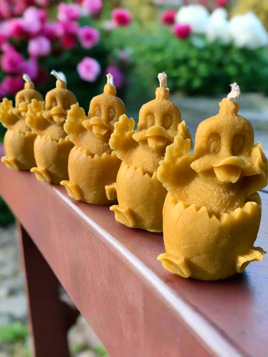 Duck Candles