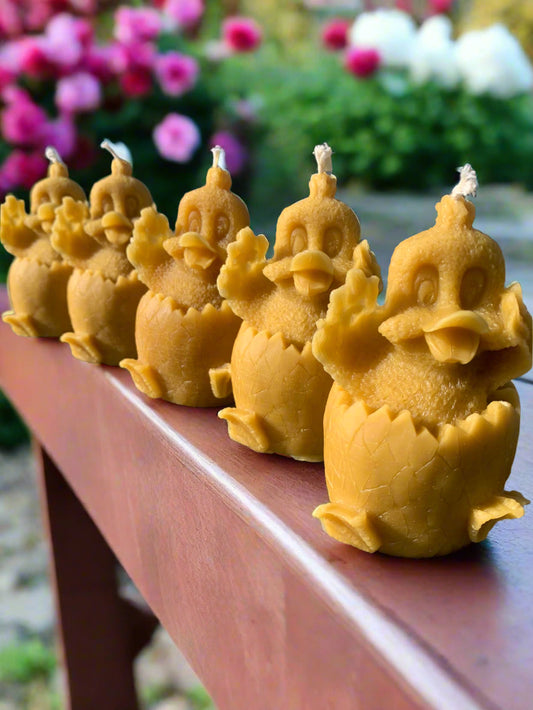 Duck Candles