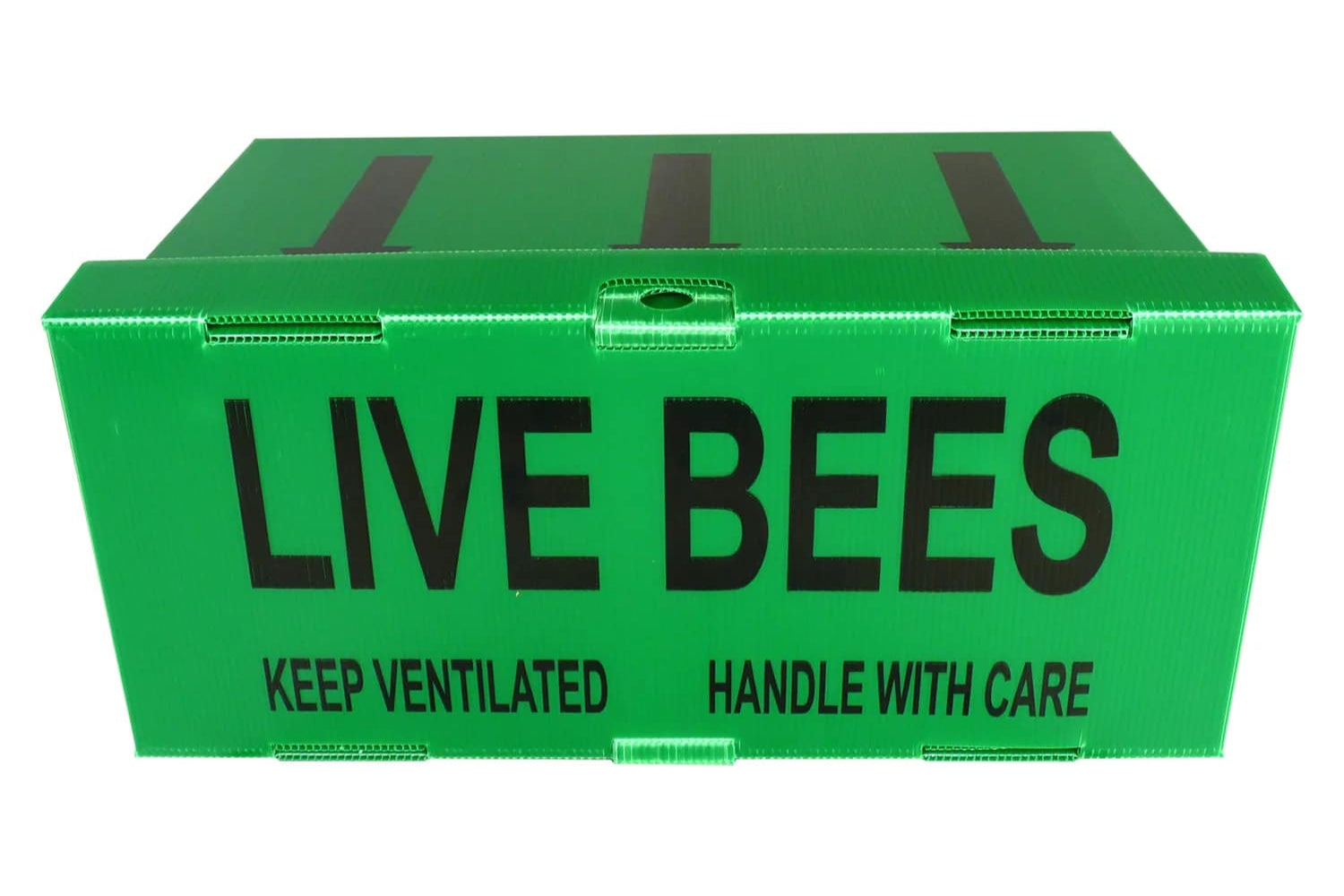 Correx Box